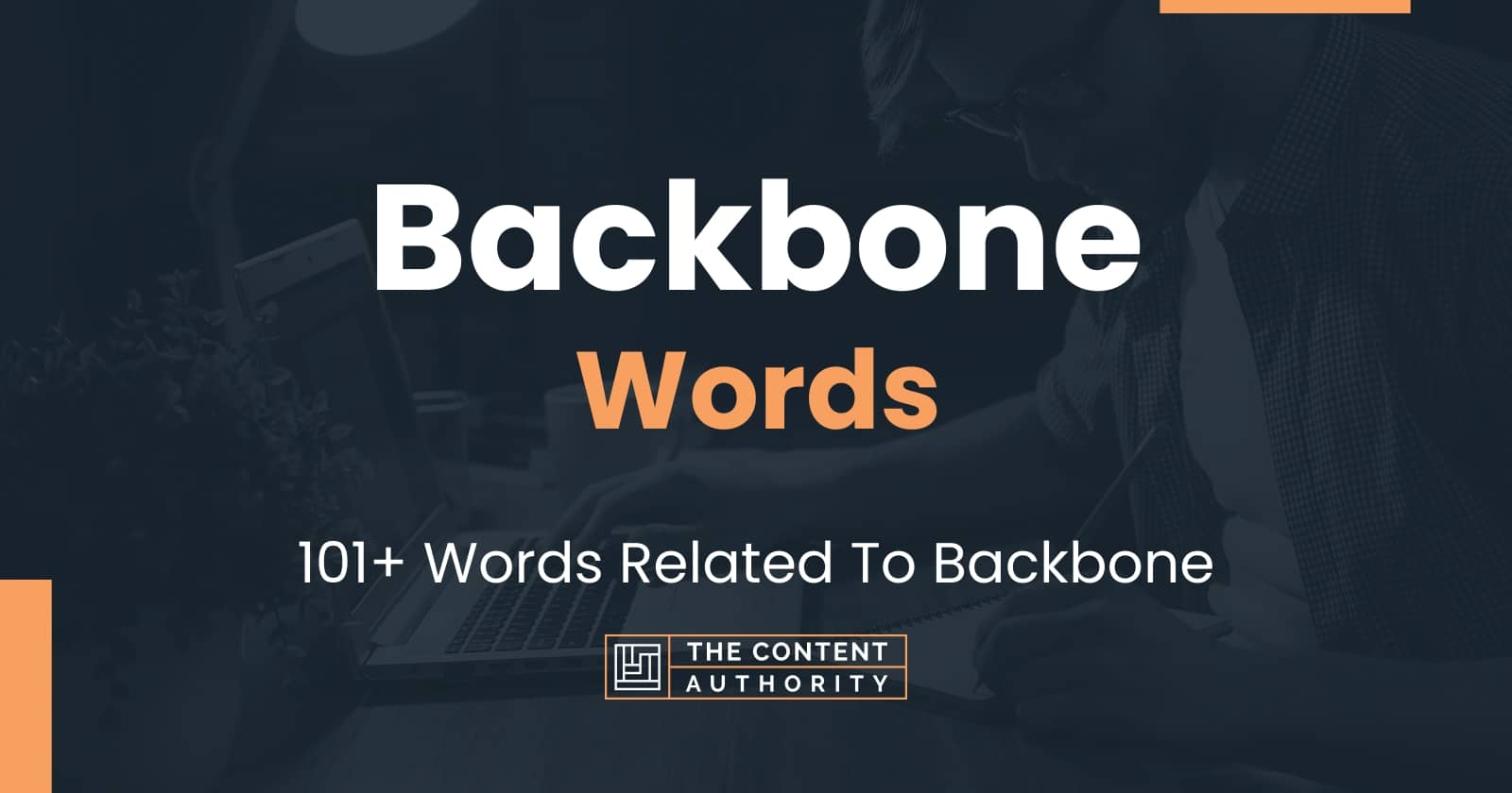 backbone-words-101-words-related-to-backbone