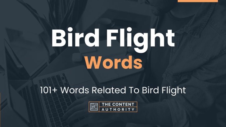 Bird Flight Words - 101+ Words Related To Bird Flight