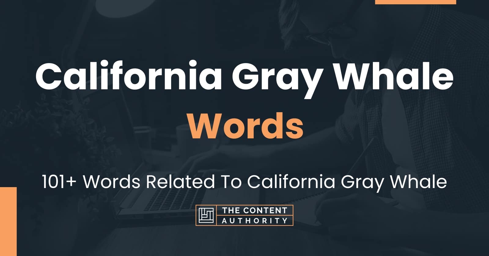 California Gray Whale Words - 101+ Words Related To California Gray Whale