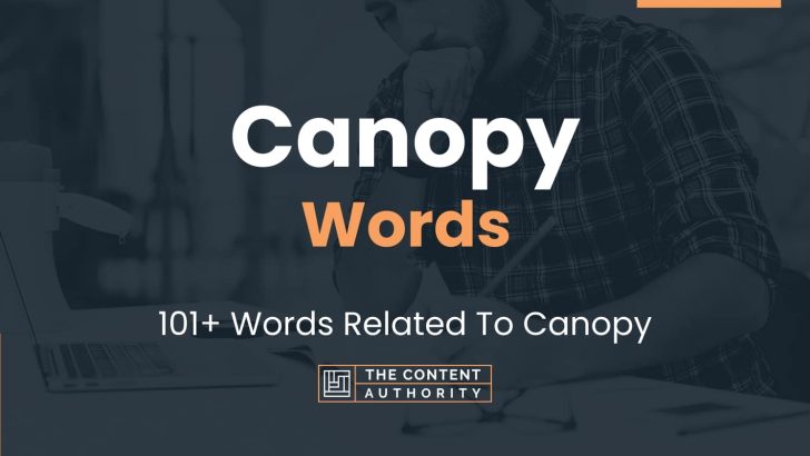 canopy-words-101-words-related-to-canopy