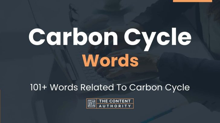 carbon-cycle-words-101-words-related-to-carbon-cycle