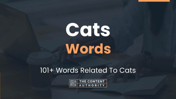 Cats Words - 101+ Words Related To Cats