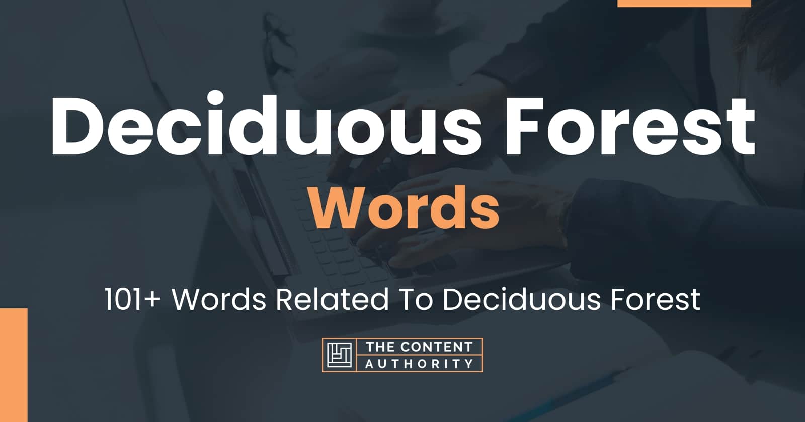 Deciduous Forest Words - 101+ Words Related To Deciduous Forest