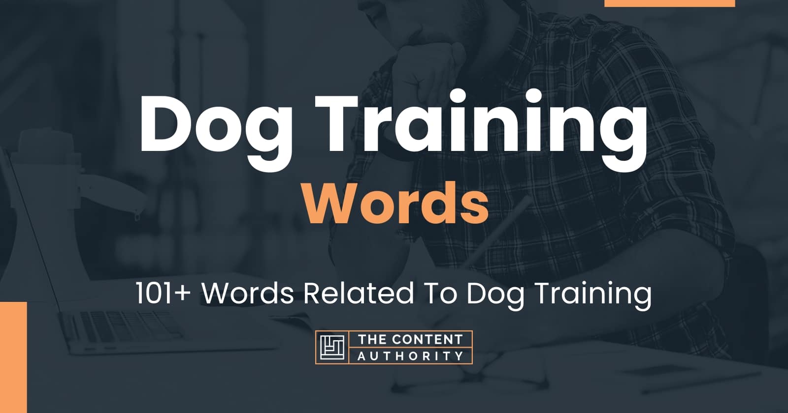 dog-training-words-101-words-related-to-dog-training