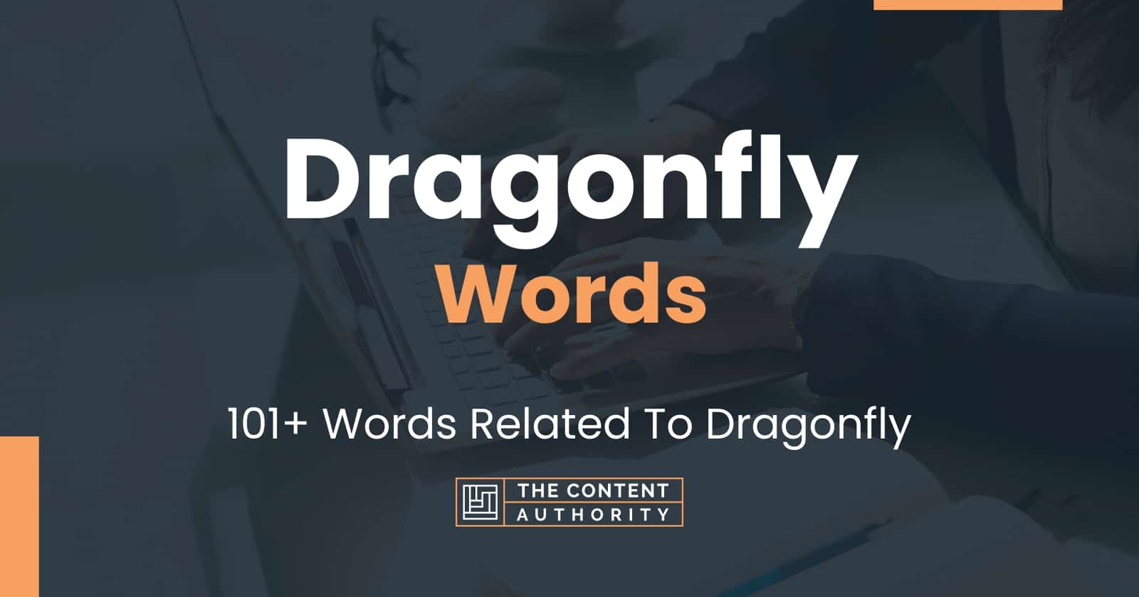 dragonfly-words-101-words-related-to-dragonfly