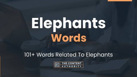 Elephants Words - 101+ Words Related To Elephants