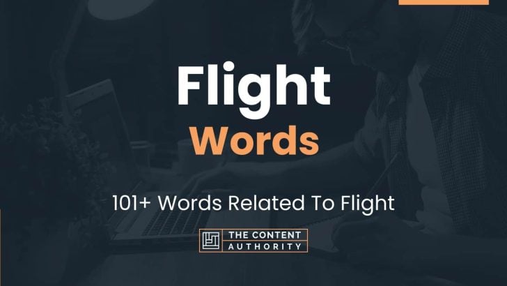 Flight Words - 101+ Words Related To Flight