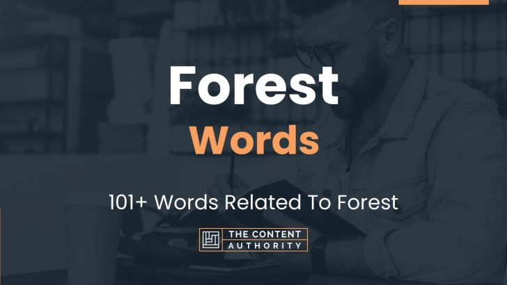 forest-words-101-words-related-to-forest