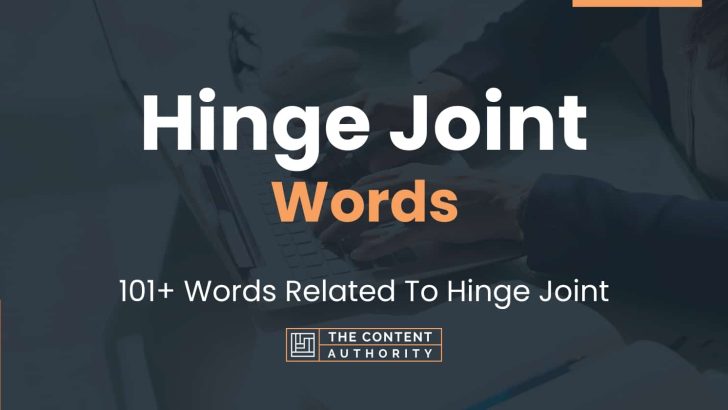 hinge-joint-words-101-words-related-to-hinge-joint