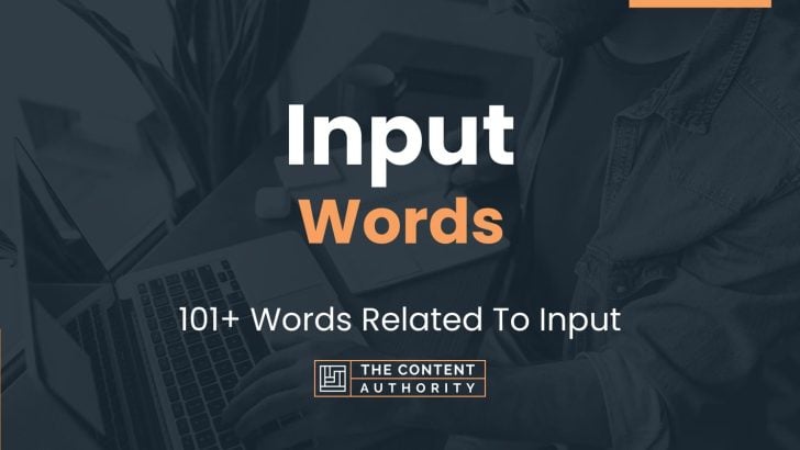 input-words-101-words-related-to-input