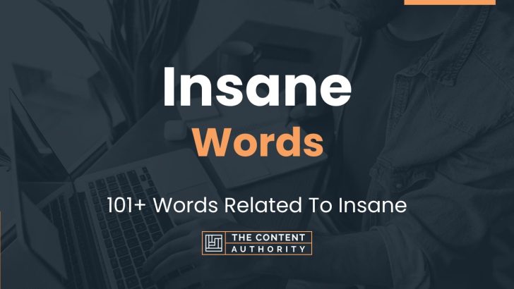 insane-words-101-words-related-to-insane