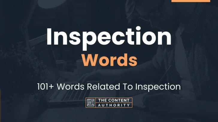 inspection-words-101-words-related-to-inspection