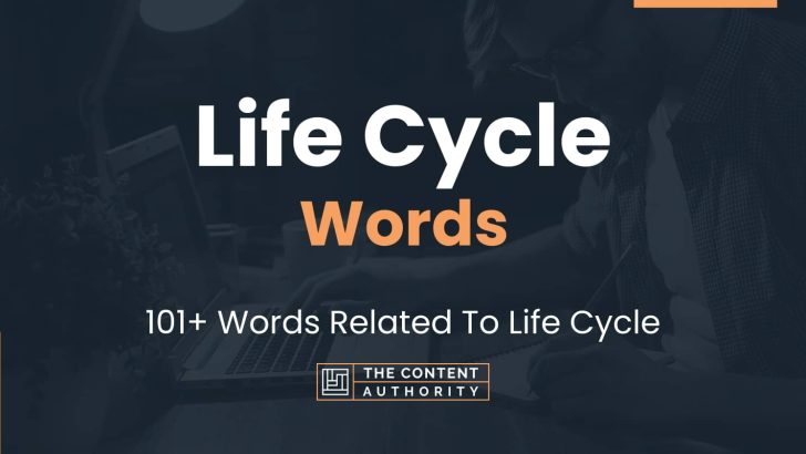 life-cycle-words-101-words-related-to-life-cycle