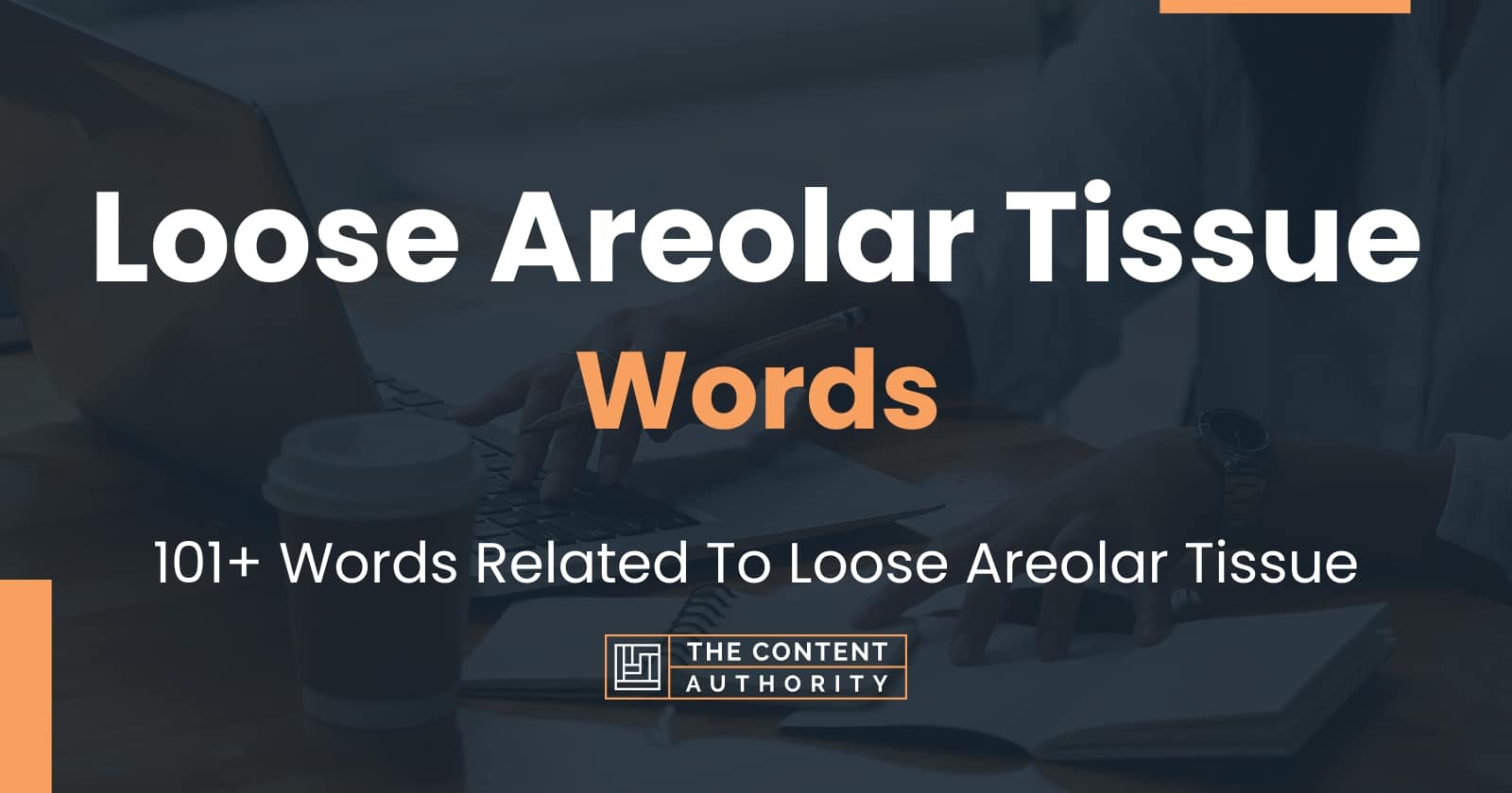 loose-areolar-tissue-words-101-words-related-to-loose-areolar-tissue