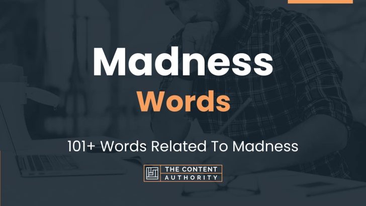 Madness Words – 101+ Words Related To Madness