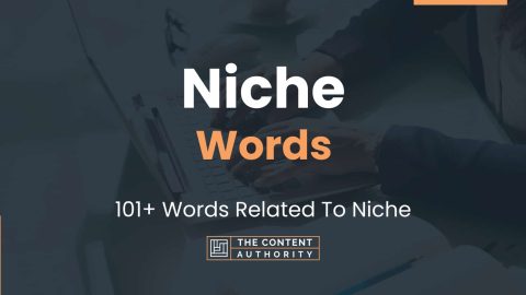 Niche Words - 101+ Words Related To Niche