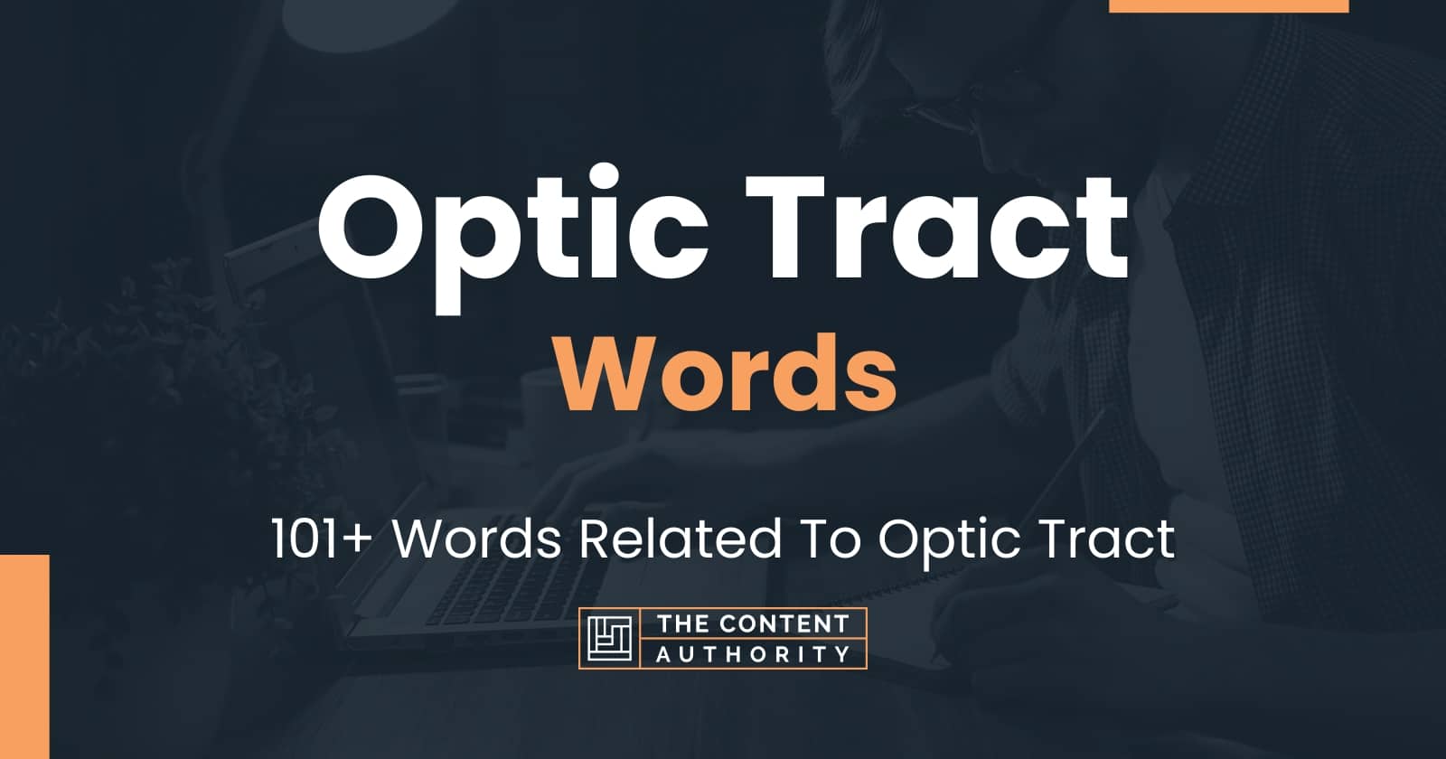 optic-tract-words-101-words-related-to-optic-tract