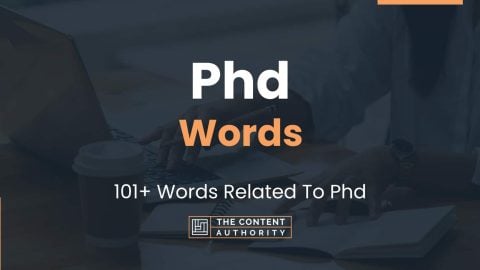phd other words for