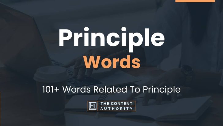 principle-words-101-words-related-to-principle