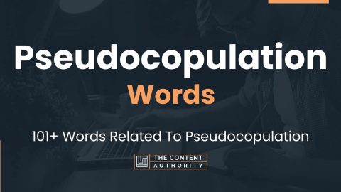 Pseudocopulation Words - 101+ Words Related To Pseudocopulation