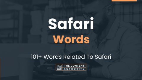 safari big words