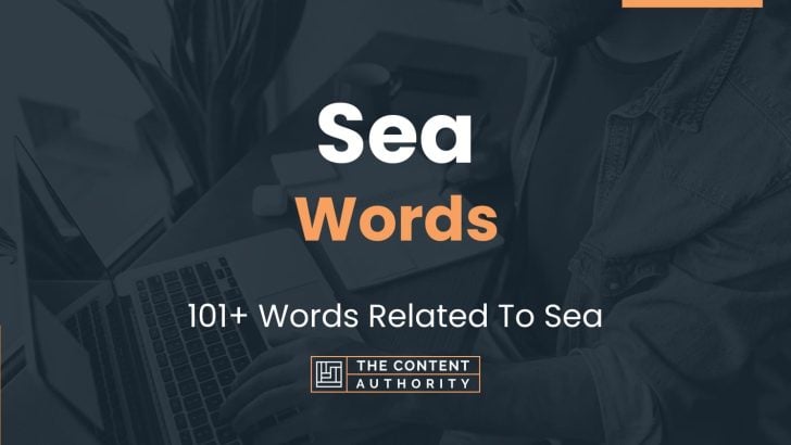 Sea Words - 101+ Words Related To Sea