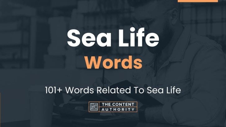 Sea Life Words - 101+ Words Related To Sea Life