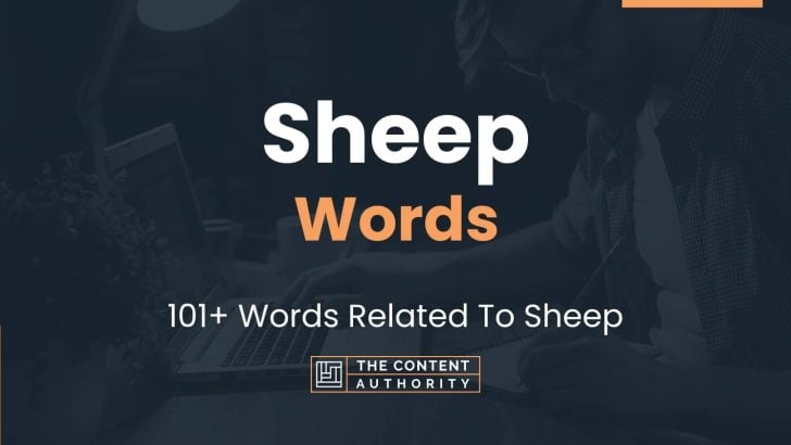 4 letter words with sheep