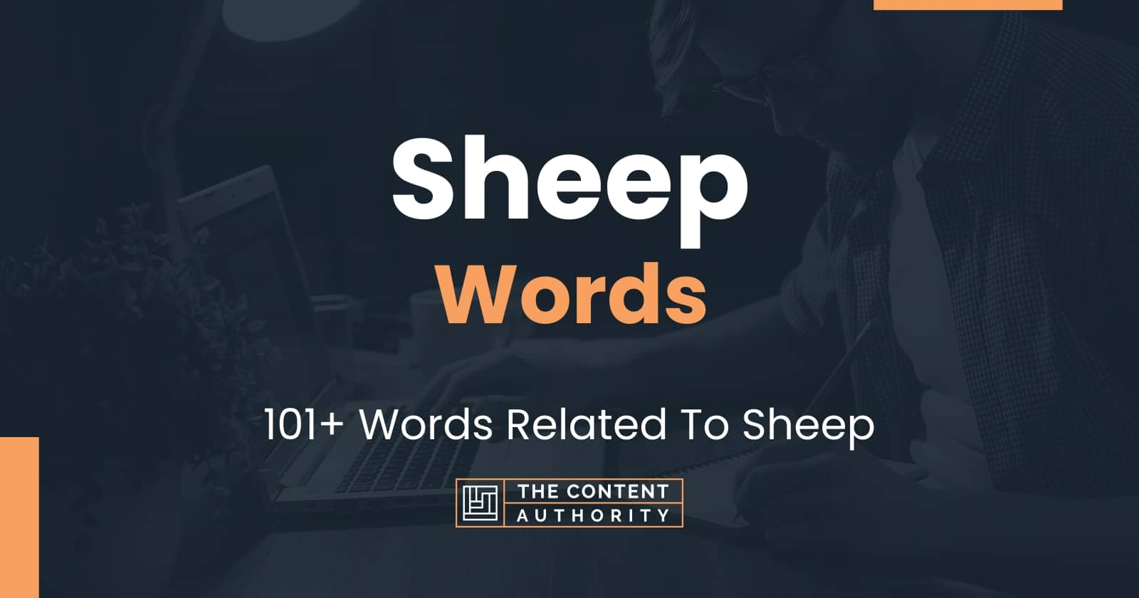 Sheep Words - 101+ Words Related To Sheep