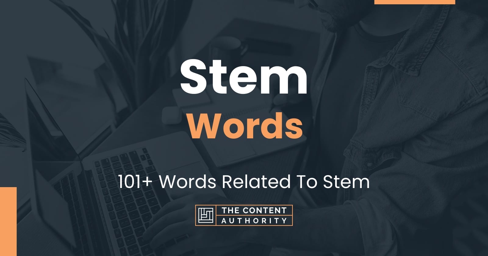 Stem Words - 101+ Words Related To Stem