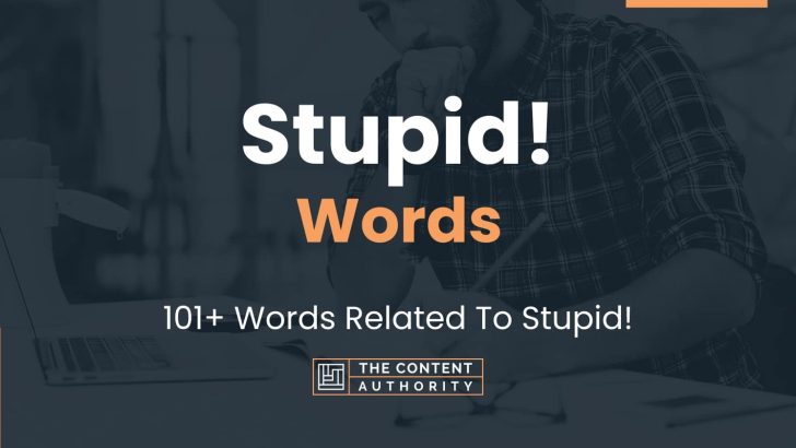 stupid-words-101-words-related-to-stupid