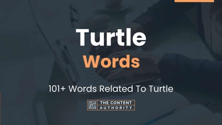 Turtle Words - 101+ Words Related To Turtle