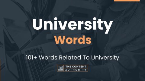 University Words - 101+ Words Related To University