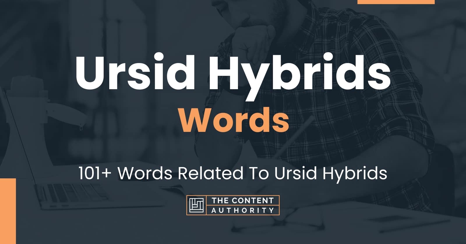 ursid-hybrids-words-101-words-related-to-ursid-hybrids