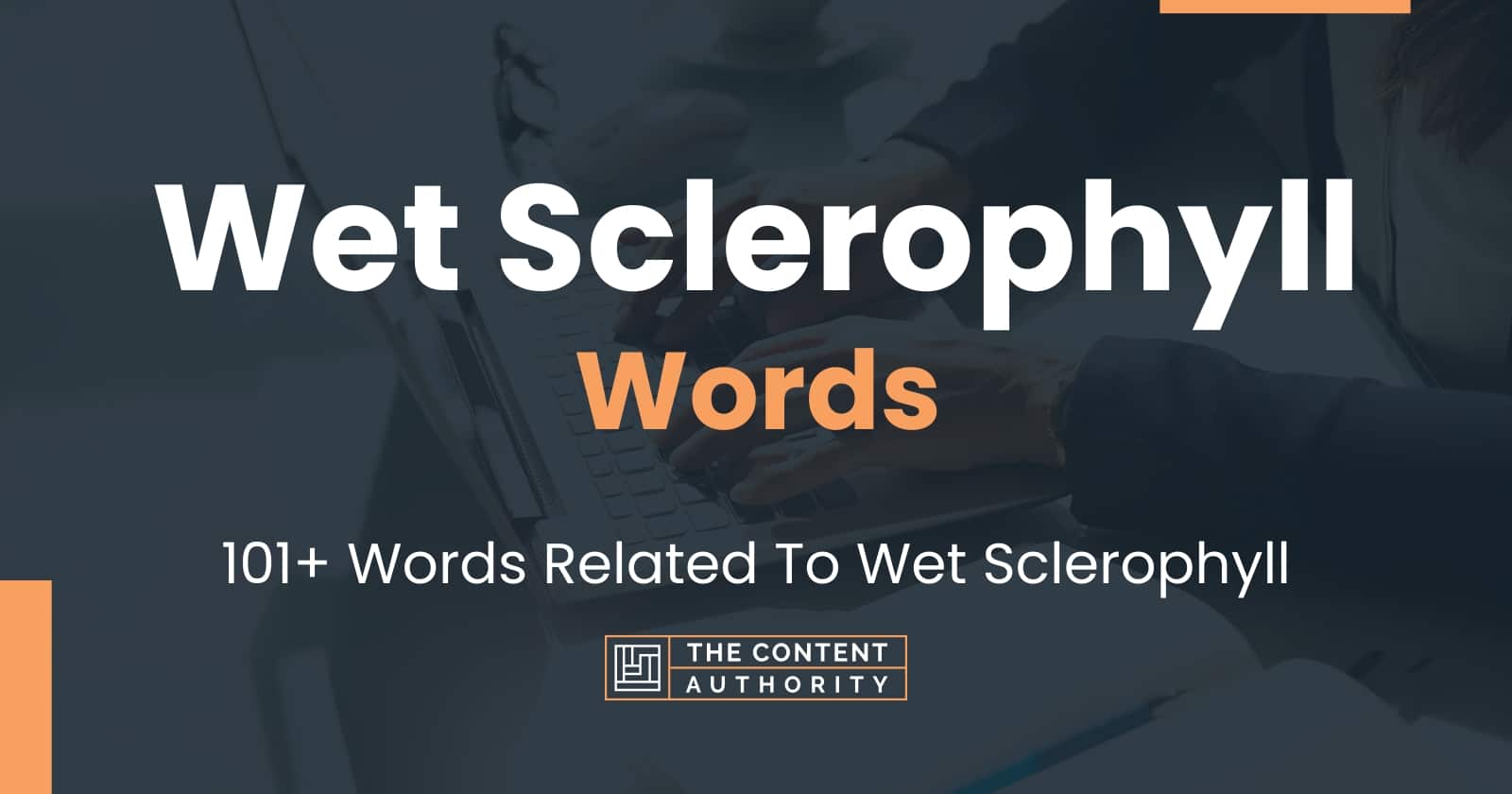 wet-sclerophyll-words-101-words-related-to-wet-sclerophyll