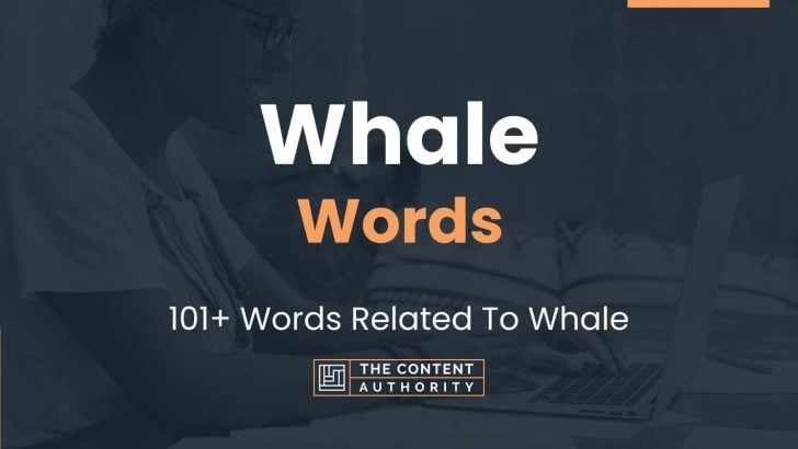 Whale Words - 101+ Words Related To Whale