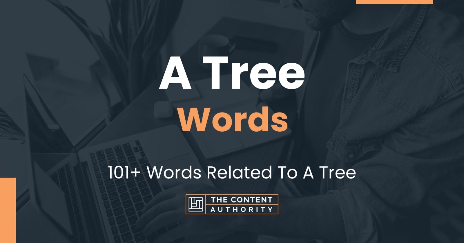 A Tree Words - 101+ Words Related To A Tree
