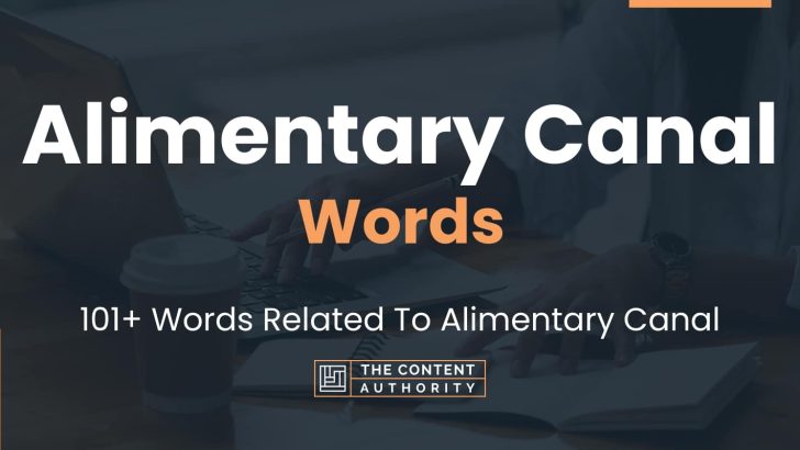 Words Related To Alimentary Canal 728x410 