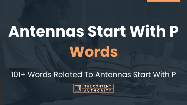 words related to antennas start with p