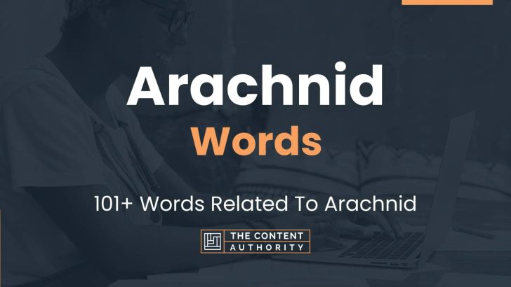 Arachnid Words – 101+ Words Related To Arachnid