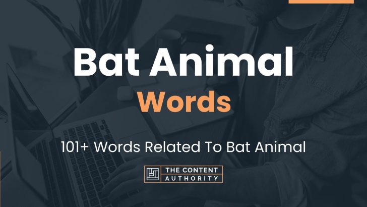 Bat Animal Words - 101+ Words Related To Bat Animal