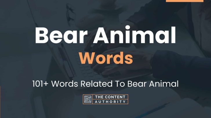 words related to bear animal