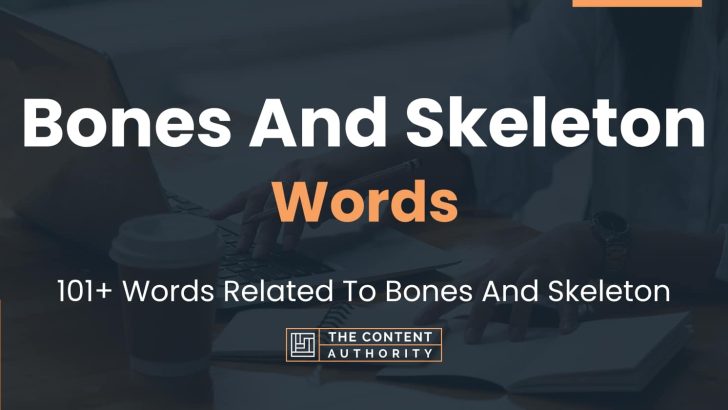 Bones And Skeleton Words – 101+ Words Related To Bones And Skeleton