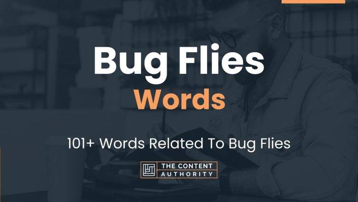 words related to bug flies