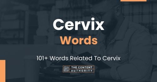 words related to cervix