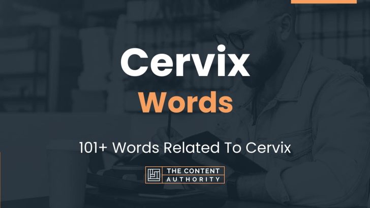 Cervix Words – 101+ Words Related To Cervix