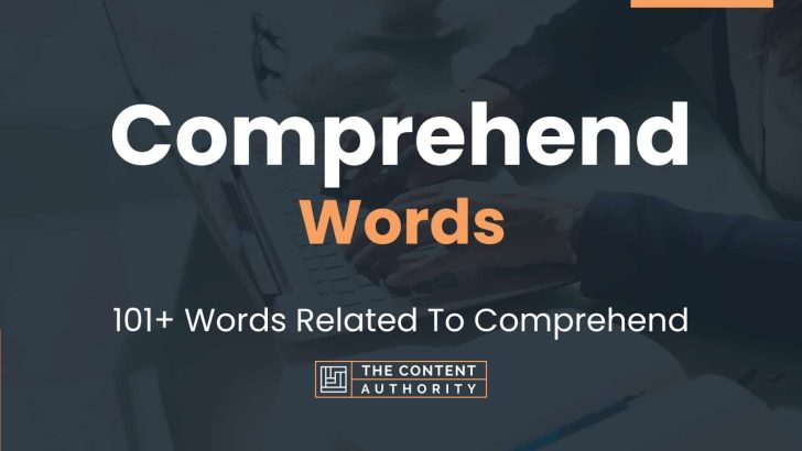 words related to comprehend