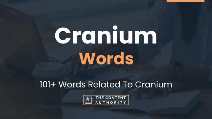 words related to cranium