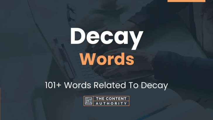 Decay Words – 101+ Words Related To Decay