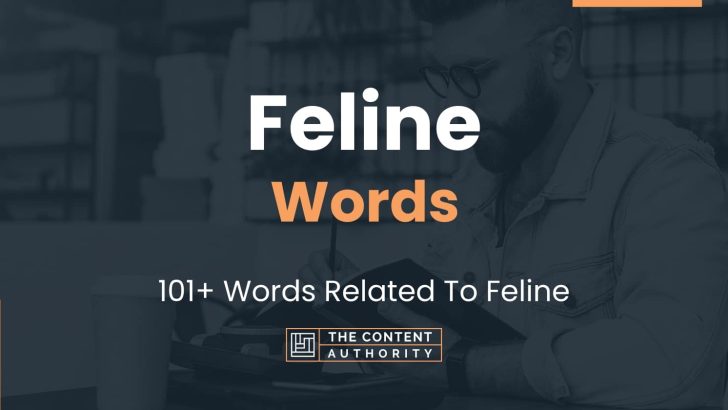 words related to feline